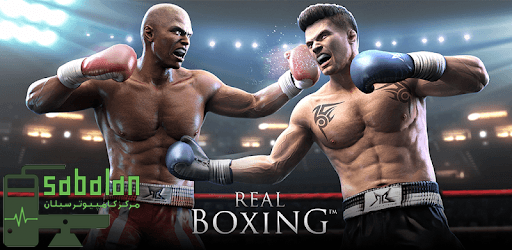 REAL BOXING گردو